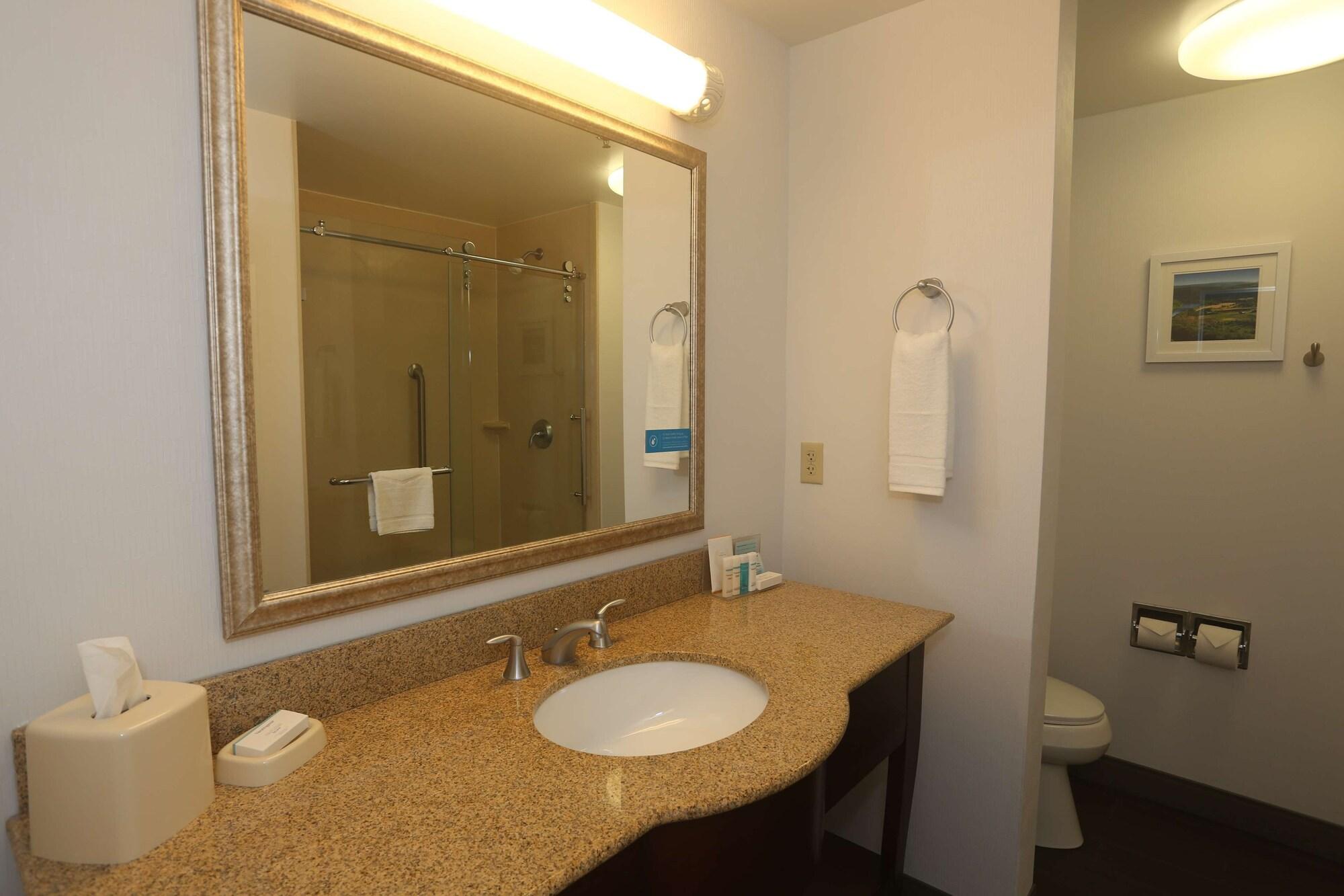 Hampton Inn Owego Exterior foto