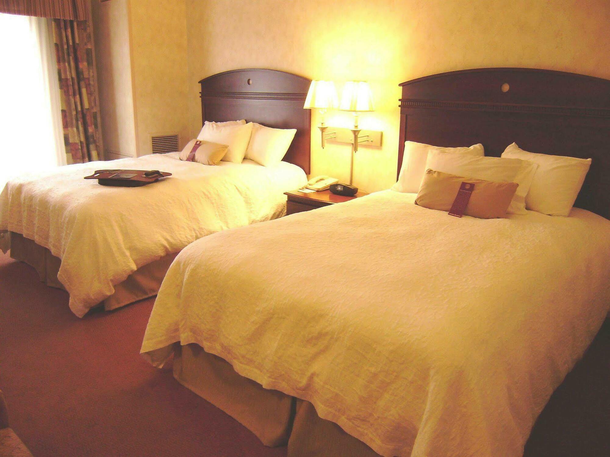 Hampton Inn Owego Habitación foto